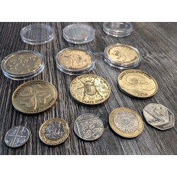 Personalized Lucky Cat Brass Coin – Cherry Blossom Tree, Custom Text