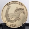 Create Your Own Lucky Coin
